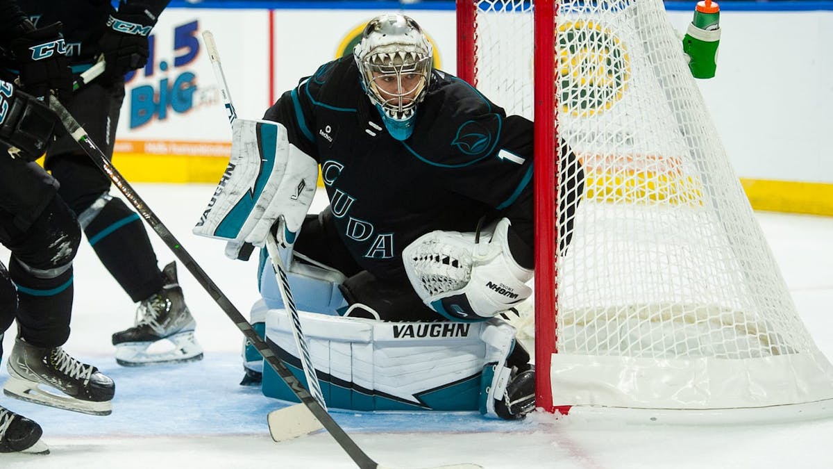 Netminder Emond Reassigned To Wichita